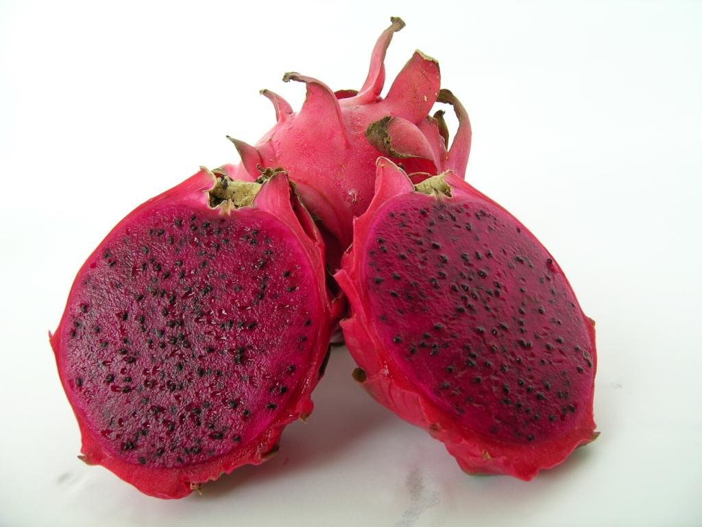 Thai Red (Özel Tür) Ejder Meyvesi Pitaya Fidanı