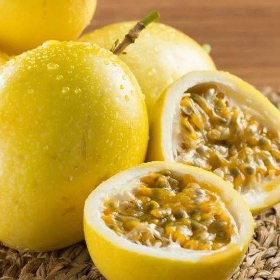 Sarı Meyveli Çarkıfelek Pasiflora Edulis PANAMA GOLD
