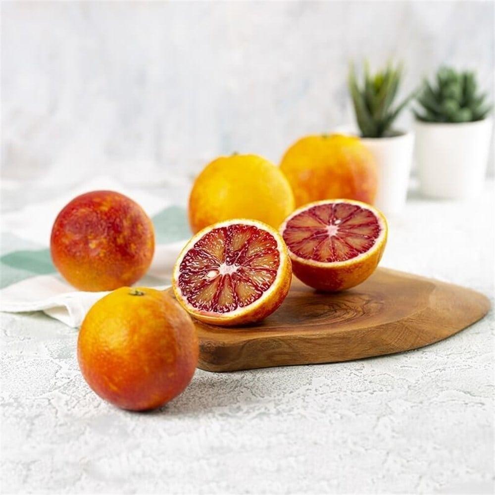 3 Yaş Tüplü Bol Sulu Kan Portakalı Fidanı