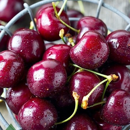 6 Yaş Aşılı Kiraz Fidanı LAMBERT, Saksıda