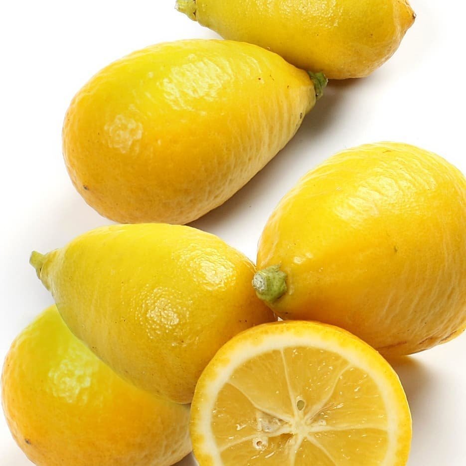 6 Yaş Aşılı Limequat Süs Limonu Fidanı, Torbada