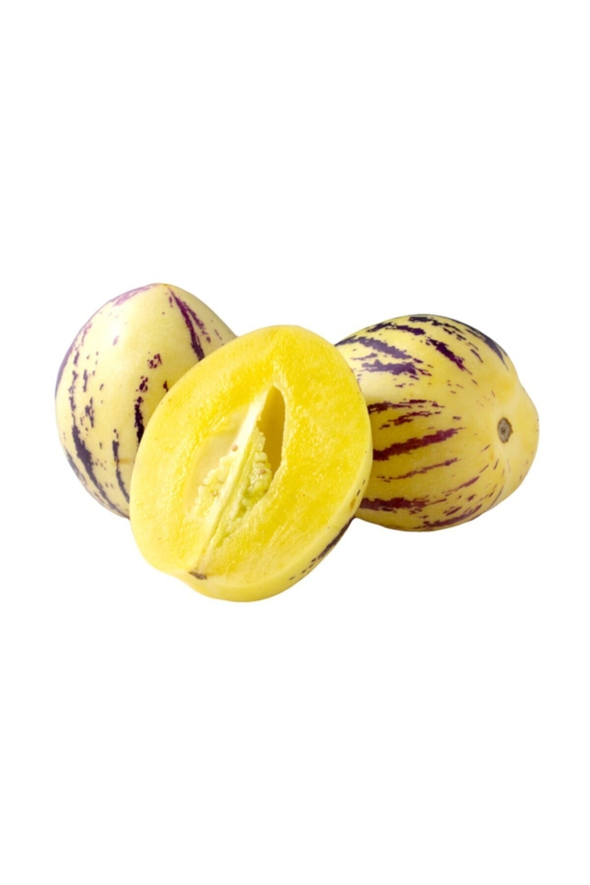 Pepino Fidesi 6 adet (tüplü)