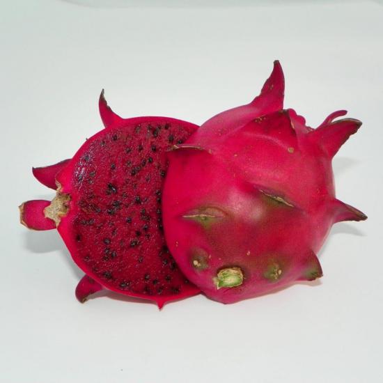 Red Jaina (Özel Tür) Ejder Meyvesi Pitaya Fidanı