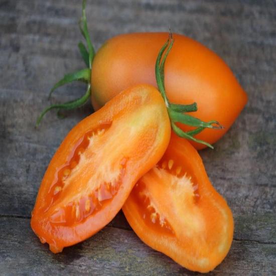 Chukloma Orange Domates Tohumu (15 tohum)