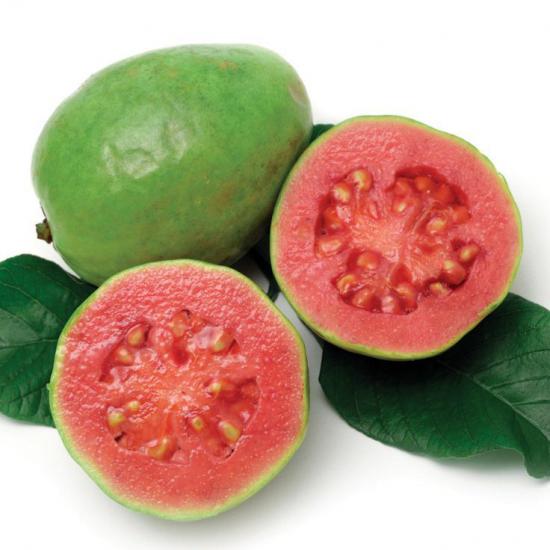 2 Yaş Tropikal Pink Guava Fidanı, Torbada