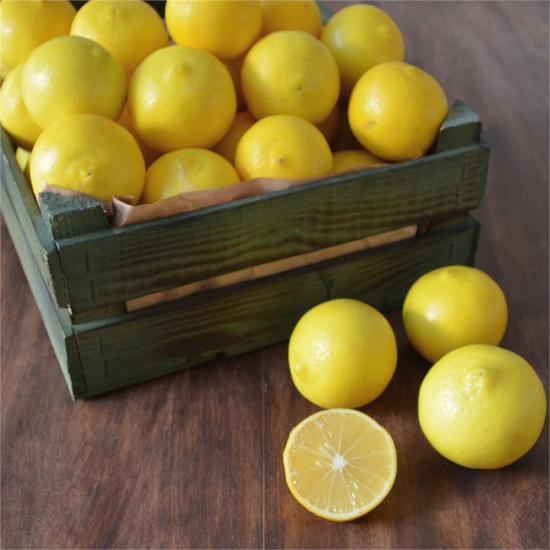 3 Yaş Aşılı Tatlı Limon Fidanı, Torbada