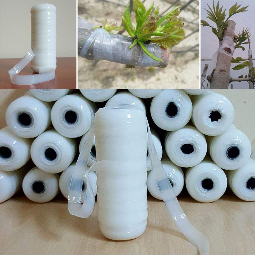 1 Rulo Aşı Bandı / Aşı Bağı / Aşı Fidan Bağı 1. Kalite